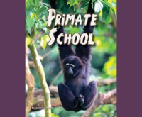 Primate_School